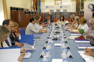 Un momento del Pleno del Consejo Económico y Social de la Provincia de Huelva.