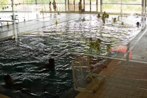 Una de las actividades enmarcadas en la programación. 