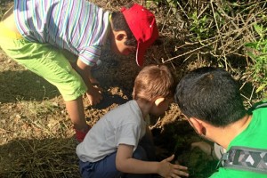 La acción se ha llevado a cabo en la Laguna Primera de Palos.