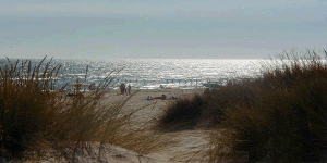 Otro de los cañones apareció en la playa Mata del Difunto, en Almonte. / Foto: inforural.com