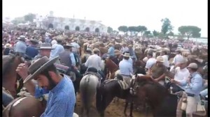 Una de las imágenes recogidas por Calleja en la aldea almonteña. 