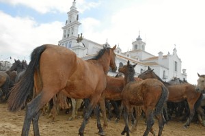 Una tradición de cinco siglos. 