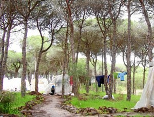 Asentamiento en la provincia de Huelva. /Foto: Cáritas.