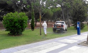 Se han intensificado los tratamientos tras la presencia masiva de mosquitos en dos focos como son El Portil y Punta Umbría.