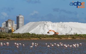 Marismas del Odiel, próximo al polo industrial, conserva una gran riqueza natural. 