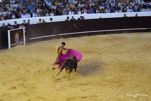 Toros en Valverde.