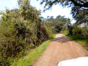 Higuera de la Sierra.