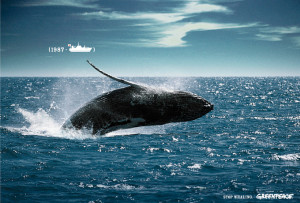 La caza de ballenas fue una práctica habitual en el mundo durante los años treinta. / Foto: taringa.net