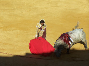 cortegana toros septiembre 2016