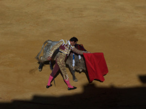 cortegana toros septiembre 2016