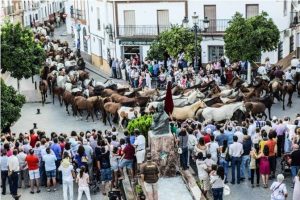 Hinojos espera expectante a que se vuelva a producir esta imagen.