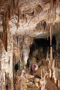  Cueva del Paño en Burgos. / Foto: Paco Hoyos.