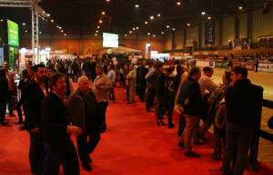 Ambiente en el Salón sevillano.