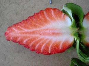 La fresa, una fruta antioxidante.