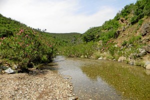 Una imagen de la Sierra del Aserrador. 