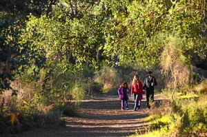 Parque Natural de Doñana, un enclave para conocer.