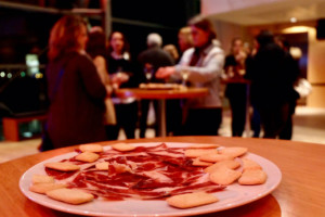 Huelva clausura de la VI Flamenco Biennale de Holanda.