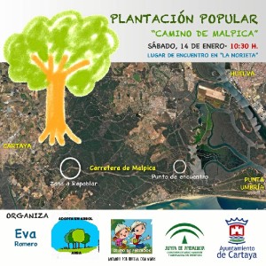 La plantación tendrá lugar el próximo sábado 14 de enero.  