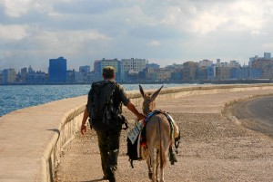 Luis Bejarano paseando por La Habana en burro.