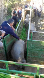 Representantes del Ayuntamiento de Trigueros y de la Comisión del Santo acudieron a la finca.