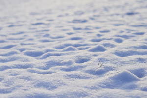 La nieve no cuajó en Huelva.