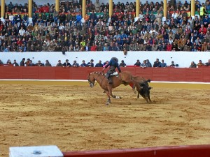 Lleno de hay billetes en la Plaza de toros de Aracena. 