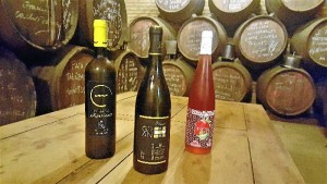 Cooperativa Vinícola del Condado destaca por su constante apuesta por la innovarión. En la imagen, de izquierda a derecha, el vino de limón 'Misterio Experience', el Mioro Gran Selección y el vino de fresa 'Fresh On'. 