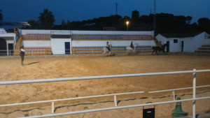 la puebla escuela equitacion