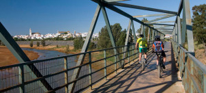 Imagen del puente sobre el río Odiel en Gibraleón.