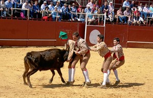 Los asistentes han disfrutado de los forcados portugueses de Amaralella.