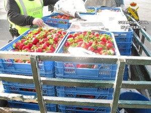 Se han incautado 9000 kilos de frutos del campo.