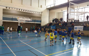 Ayamonte sigue apostando por el baloncesto de base con la organización del Andaluz Cadete.