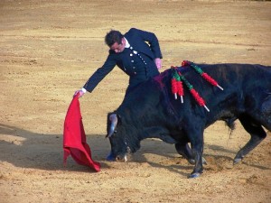 “El Fandi”, estocada, dos orejas y rabo.