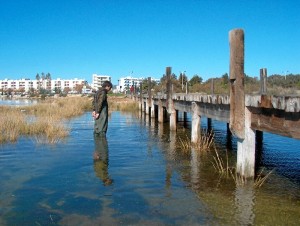 Enrique Mateos ha formado parte de destacados proyectos de investigación relacionados con la conservación y gestión de ecosistemas, especialmente las marismas.