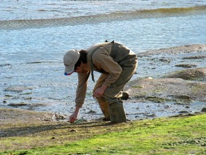 El investigador, recogiendo muestras para sus trabajos.