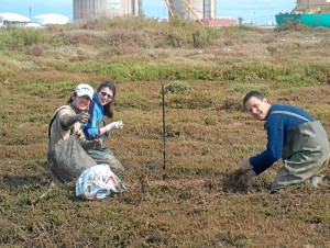 Durante sus investigaciones han identificado recursos biológicos para la lucha contra la contaminación ambiental y la degradación de los ecosistemas.