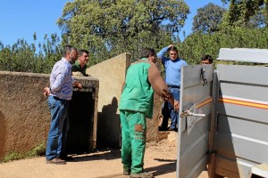 Entregan 76 ejemplares reproductores porcinos de raza ibérica pura a las 28 explotaciones ganadera.