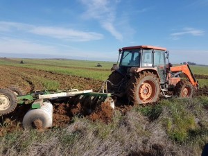 La finca se ha alquilado a la Cooperativa Costa de Huelva.