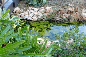 El Gobierno andaluz quiere avanzar hacia una economía circular del agua plena.