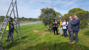 Obras del PFEA en Villanueva de los Castillejos.