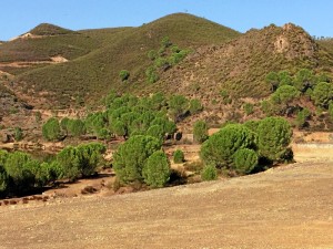 Desde 2013, se ha llevado a cabo una serie de trabajos de depuración, de mantenimiento de instalaciones y de seguridad y control medioambiental.