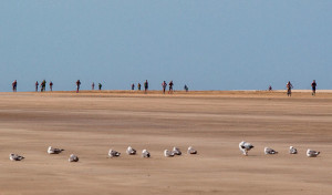 El Desafío Doñana Sprint comenzará a las 10:30 horas, con salida y llegada en la zona próxima a ‘La Peña’, en la playa de Matalascañas.