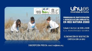 La UHU participa en una Jornada de eliminación de vegetación inadecuada en Marismas del Odiel. 