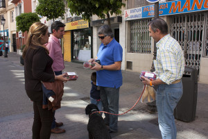 Reparto de fresas en Huelva.