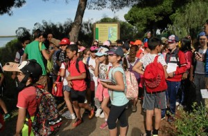 Han participado un total de 400 niños de cuarto de Primaria.