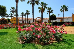 Un lugar encantador en el Condado de Huelva. 