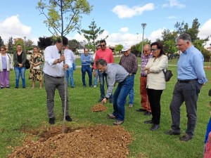 Comienza la plantación de árboles en la capital onubense.