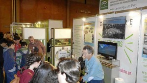 Presencia onubense en la Feria de la Ciencia de Sevilla.