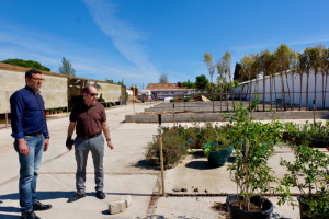 Obras Vivero Municipal