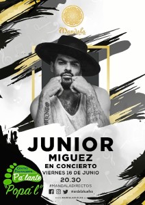 Cartel del concierto de Junior.